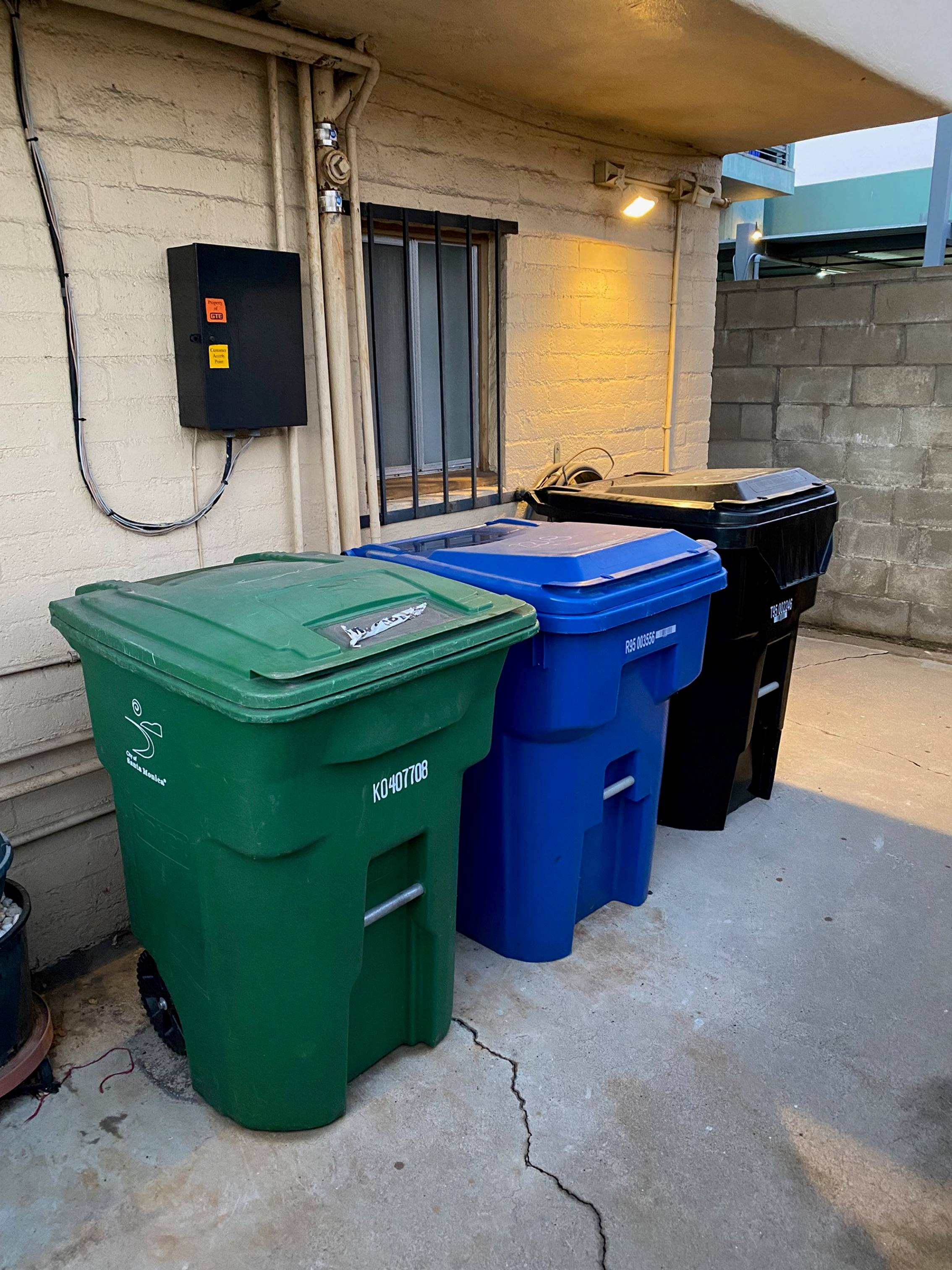 City of Glendale, CA on X: What can & can't go in your organics recycling  container? ✓ Food scraps can be placed in a clear plastic bag with yard  trimmings in your